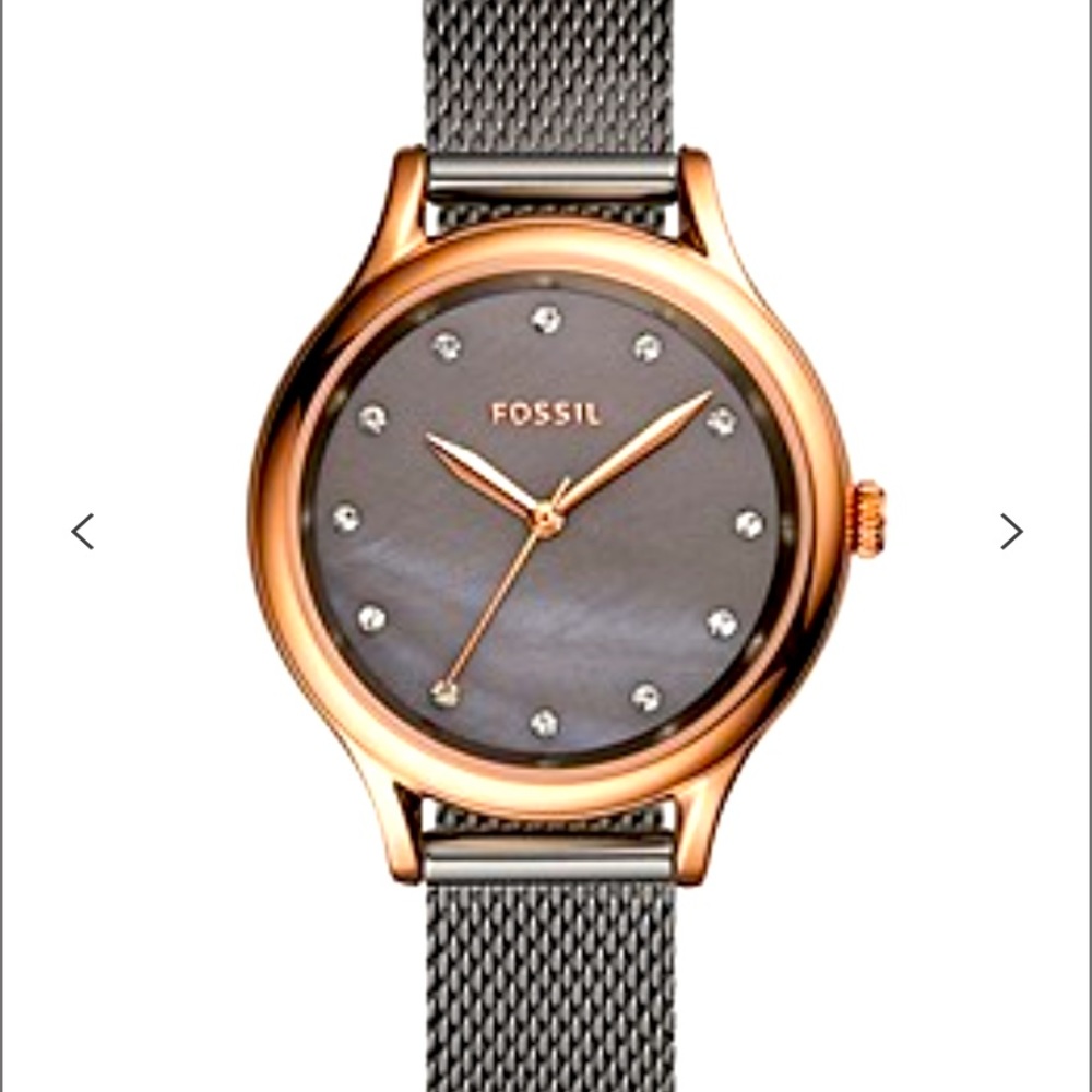 Fossil Laney Three-Hand Smoke Stainless Steel Watch